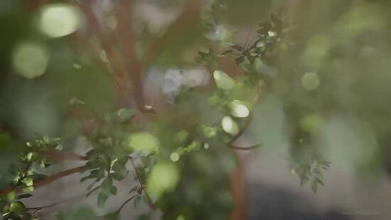 From $2.73M or $2.2xxPSF 3B2B Freehold condo, investors/own stay Condominium For Sale at S$ 2,737,000 | PropertyGuru Singapore