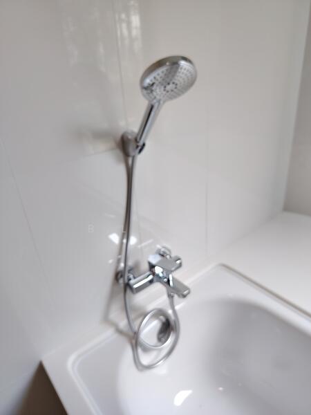 Botannia, 29 West Coast Park, 4 Bedrooms, 1,565 sqft, Condominium For Rent, by B.L. Tan, 500018875 - PropertyGuru.com.sg