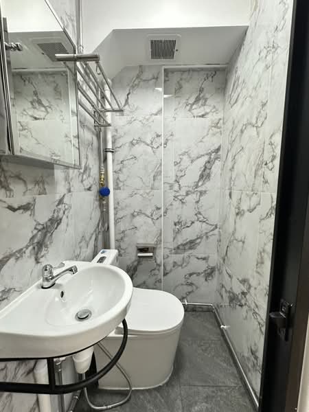 22 Havelock Road Studio, Havelock Road Jalan Bukit Merah Tiong Bahru Road, Studio, 180 sqft, HDB Flat For Rent, by Tommy Kwek, 500018887 - Bathroom - PropertyGuru.com.sg