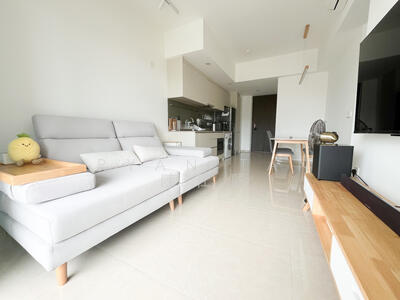 For Sale - The Gazania