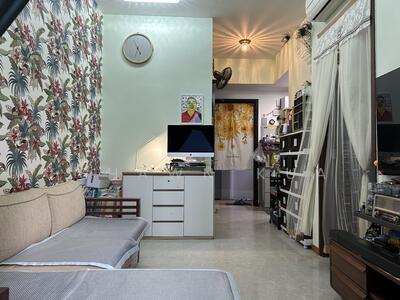 For Sale - Laurel Tree