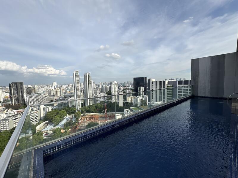 20m long Infinity Pool with view