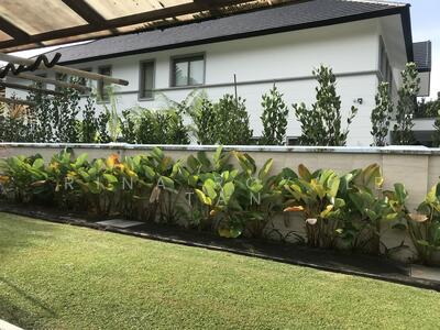 For Rent - GCB For Rent at Binjai Park