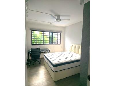 For Rent - 310 Woodlands Street 31