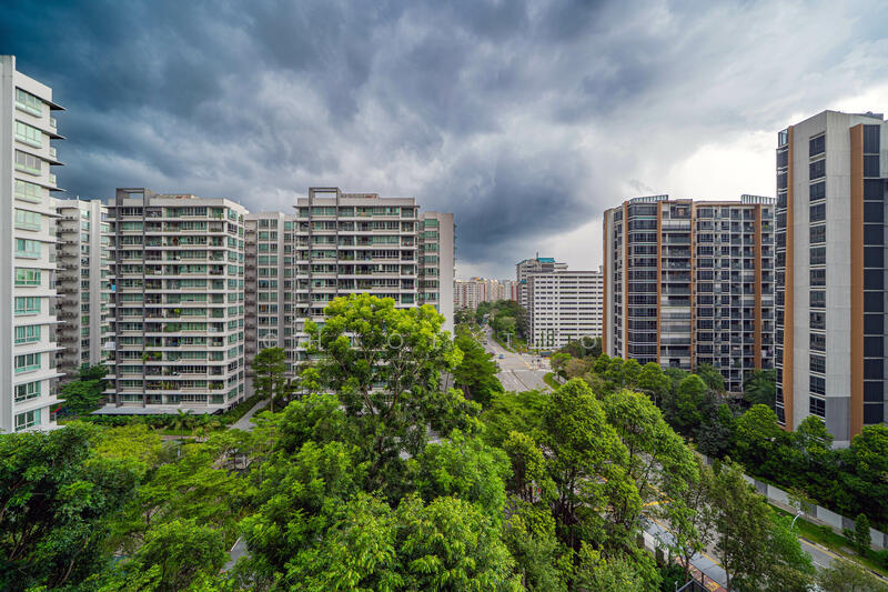 Unblocked greenery view