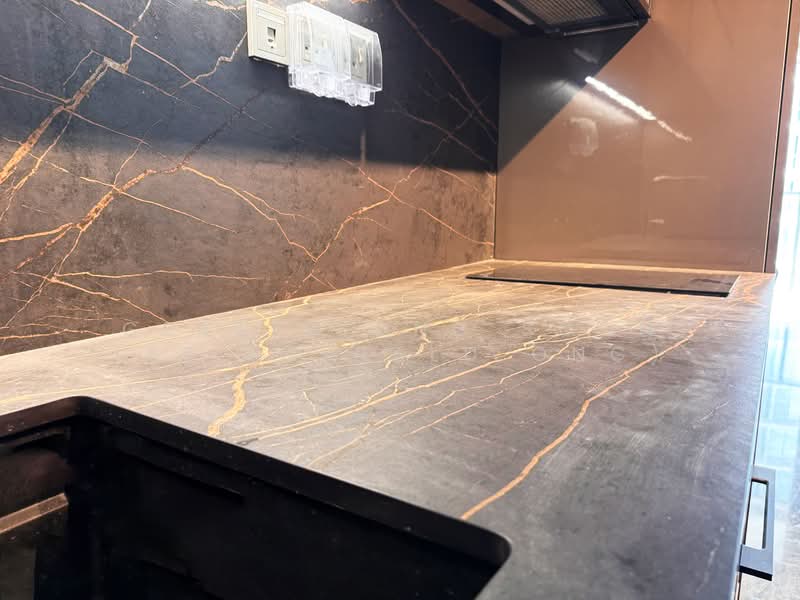 One Bernam, 1 Bernam Street, 3 Bedrooms, 829 sqft, Condominium For Rent, by Gerald Ong Soon Lee (Gerald Ong), 500022749 - Kitchen - PropertyGuru.com.sg