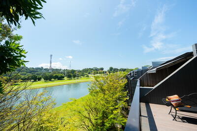 For Sale - The Green Collection