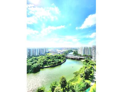 For Rent - Riverbank at Fernvale