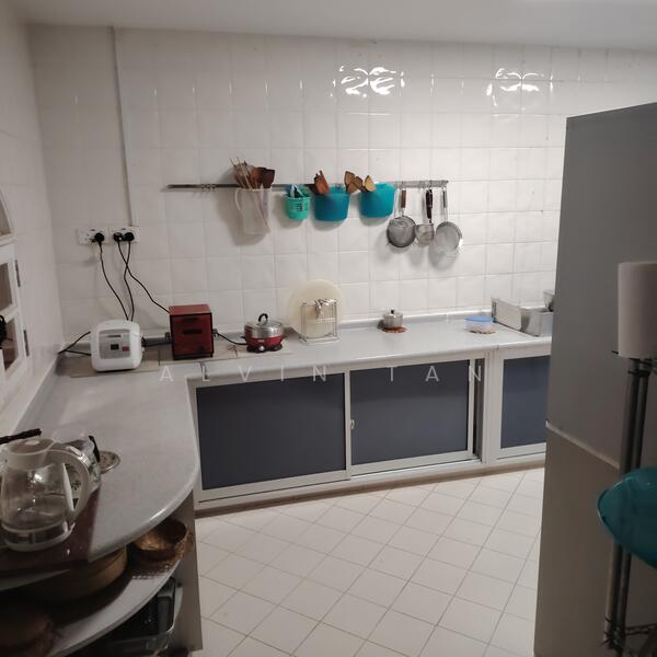 Huge 3 Storey Semi D/ Telok Kurau Semi-Detached House For Sale at S$ 9,408,000 | PropertyGuru Singapore - Kitchen