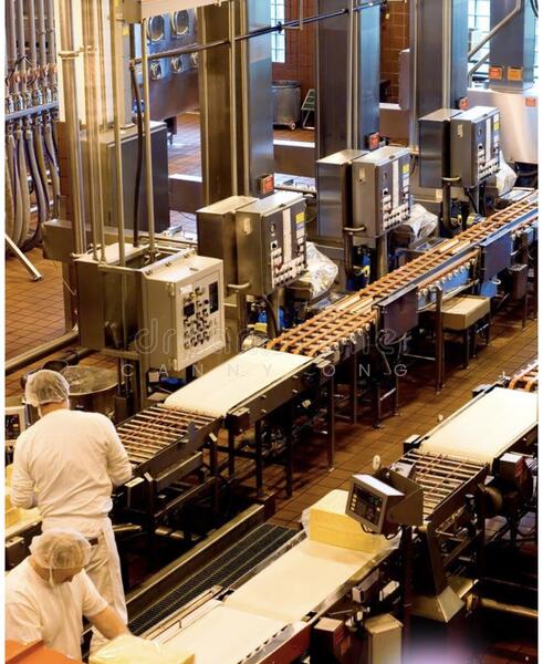 Food Vision @ Mandai, 21 Mandai Estate, 1,700 sqft, Factory / Workshop (B2) For Sale, by Canny Ong, 500026007 - Interior - CommercialGuru.com.sg