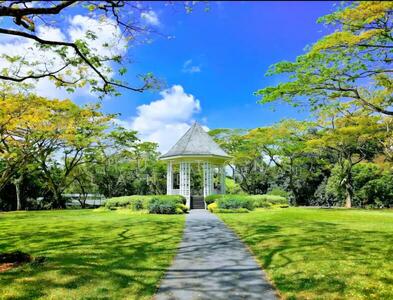 For Sale - Botanic Garden, Bukit Timah vicinity