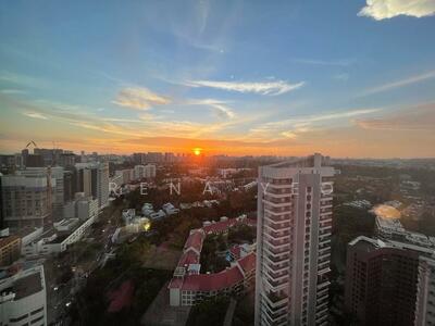 For Sale - Ardmore 3