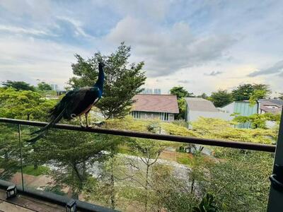 For Sale - Sentosa Cove