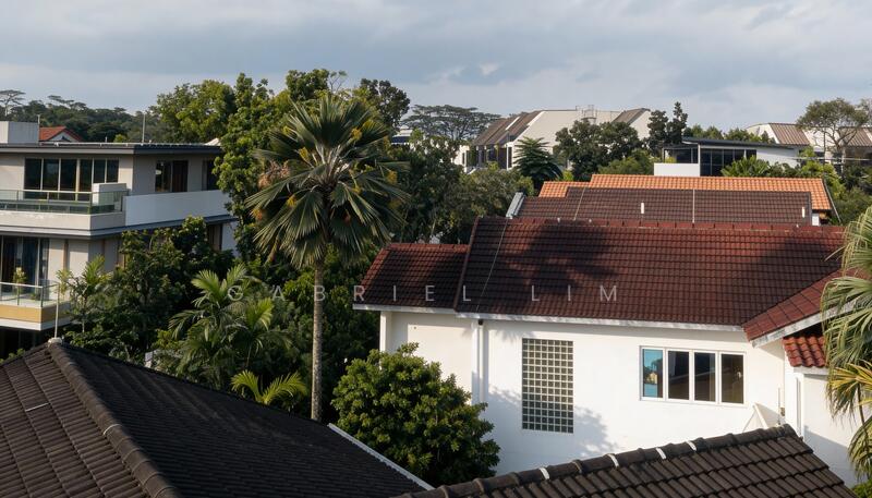 ❤️WOW❤️⭐PRICE REDUCED⭐⚡1KM HENRY PARK PRIMARY SCHOOL⚡CHARMING WELL KEPT SEMI-D✅ Semi-Detached House For Sale at S$ 10,480,000 | PropertyGuru Singapore - Exterior