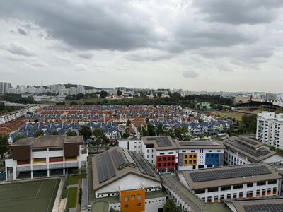 For Sale - Yew Mei Green