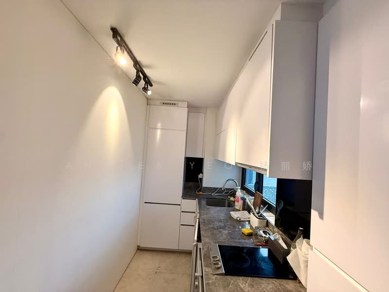 Robinson Suites, 50 Robinson Road, Boat Quay / Raffles Place / Marina, 2 Bedrooms, 603 sqft, Condominium For Sale, by Anthea Yeo 杨丽娇, 500029229 - Kitchen - PropertyGuru.com.sg