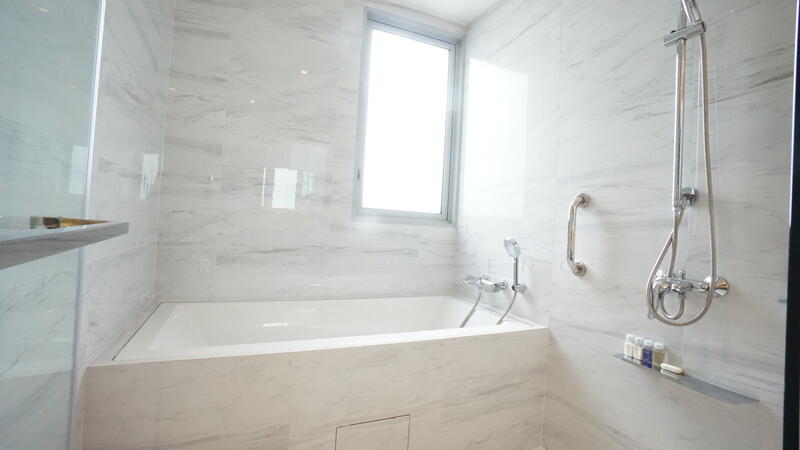 Master Bathroom Bathtub