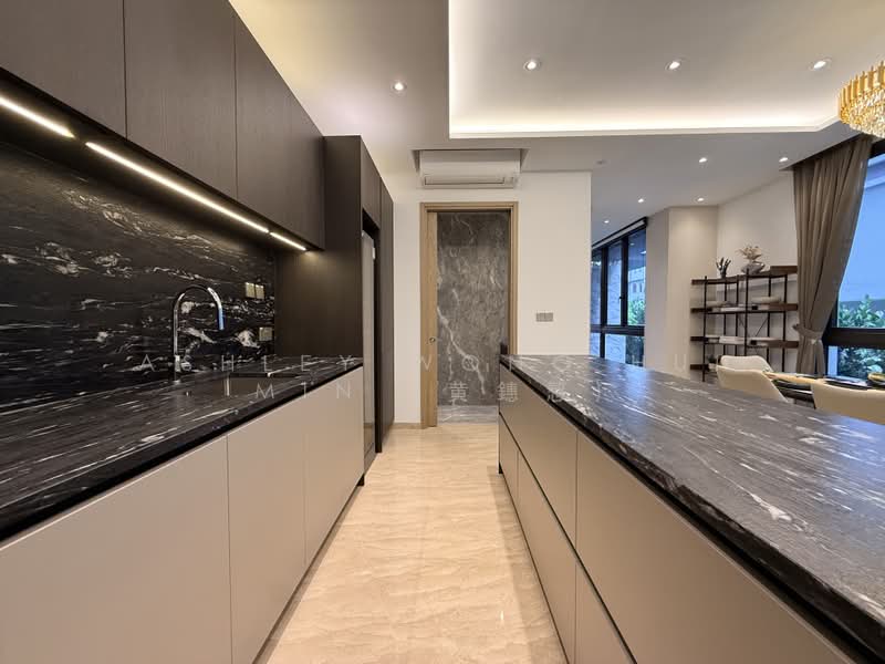 LAST UNIT! Brand New Semi-D at Fernhill Road, Fernhill Road, Tanglin / Holland / Bukit Timah, 6 Bedrooms, 7,441 sqft, Semi-Detached House For Sale, by Ashley Wong Hui Min (黄鏸慜), 500030305 - Kitchen - PropertyGuru.com.sg