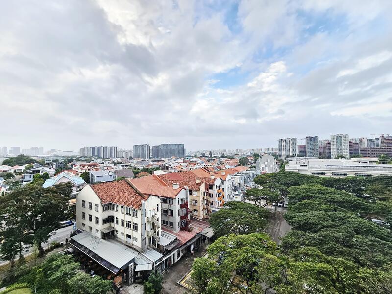 Actual Panoramic View