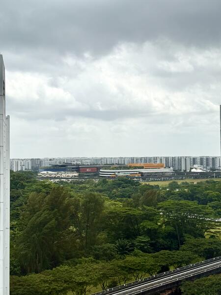 Beautiful Greenery view