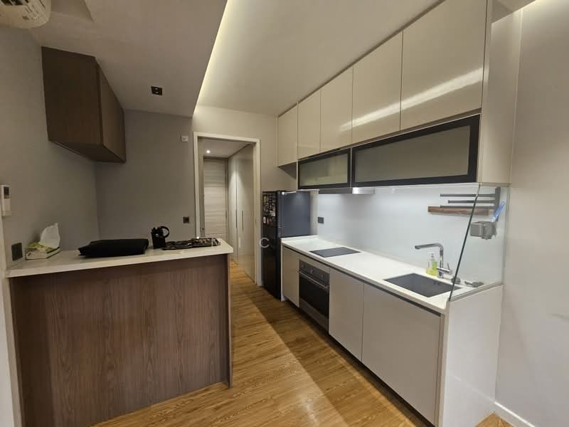 Sophia Hills, 5 Mount Sophia, 1 Bedroom, 450 sqft, Condominium For Rent, by Nic Ee, 500032835 - Kitchen - PropertyGuru.com.sg