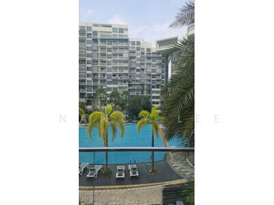 For Sale - Skies Miltonia