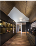 Tanjong Katong! Architectural masterpiece designed by renowned firm, 东部最好 2.5 Storey Bungalow