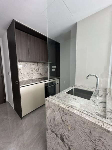 Tembusu Grand, 94 Jalan Tembusu, 2 Bedrooms, 667 sqft, Condominium For Rent, by Caroline Ong, 500033500 - Kitchen - PropertyGuru.com.sg