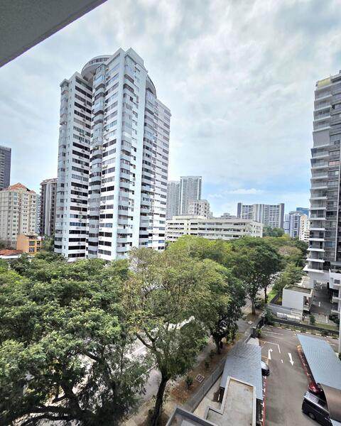 Unblock Greenery View