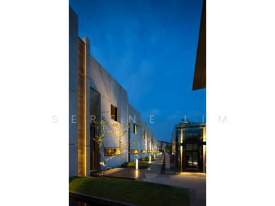 For Sale - The Green Collection