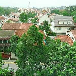 For Rent - The Tessarina