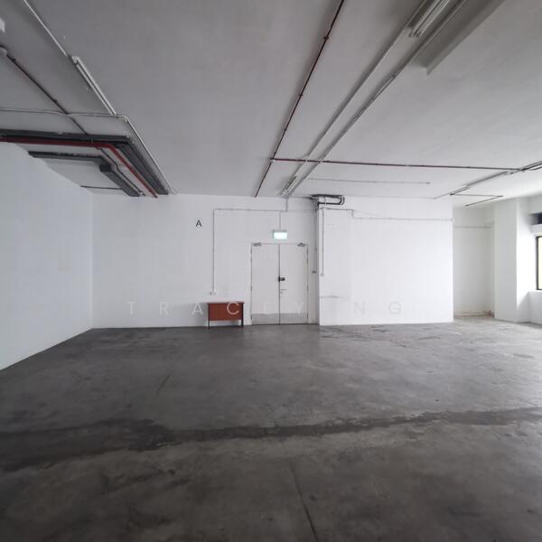Nanyang Centre, 24 Lim Teck Boo Road, 3,965 sqft, Light Industrial (B1) For Rent, by Tracey Ng, 500038809 - CommercialGuru.com.sg