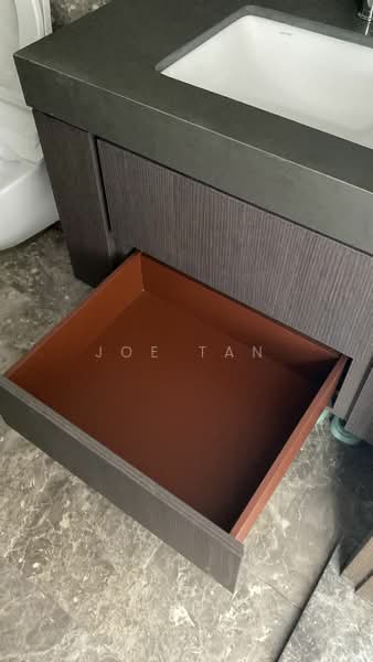 Avenue South Residence, 11 Silat Avenue, 1 Bedroom, 527 sqft, Condominium For Sale, by Joe Tan, 500038884 - Bathroom - PropertyGuru.com.sg