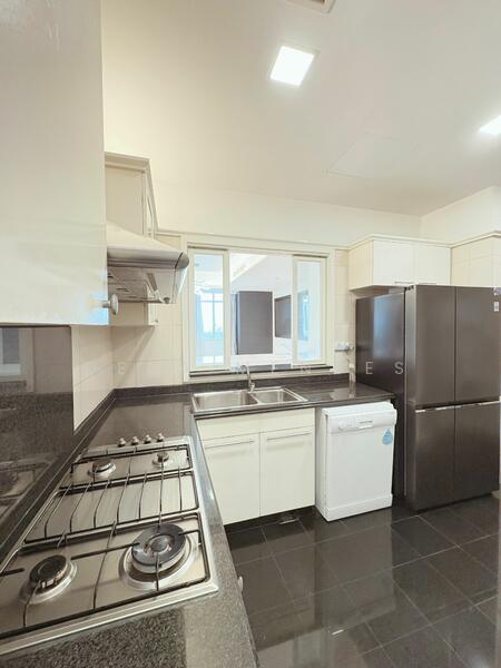Orchard Scotts, 3 Anthony Road, 4 Bedrooms, 2,508 sqft, Condominium For Rent, by Dena Mendes, 500038887 - Kitchen - PropertyGuru.com.sg