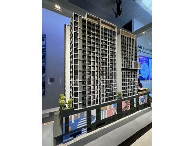 For Sale - TMW Maxwell