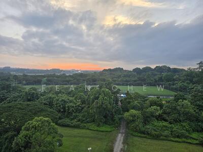 For Sale - 408 Woodlands Street 41