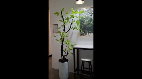 Eastpoint Green, 1 Simei Street 3, Room Rental, 100 sqft, Condominium For Rent, by Iris T. 张文珊, 500039126 - PropertyGuru.com.sg