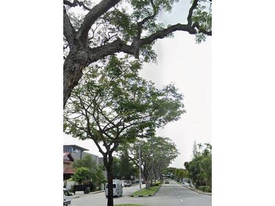 For Sale - Possible to subdivide into a pair of semid @ Frankel