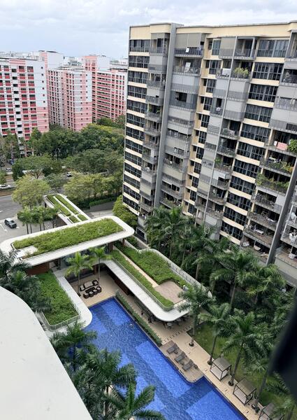 Pool View High Floor