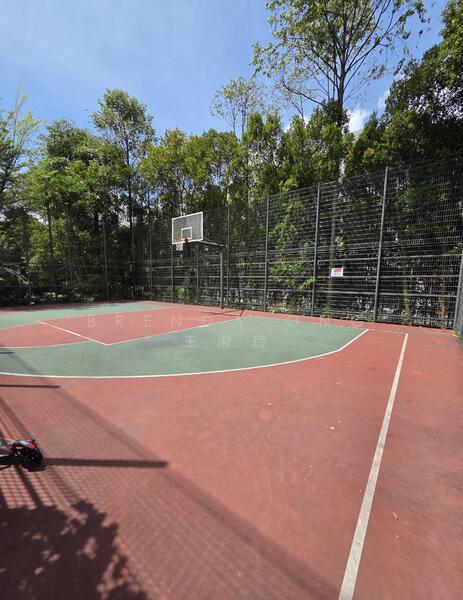 Half Basketball Court