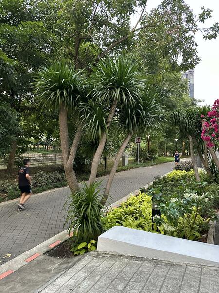 Mirage Tower Condominium For Sale at S$ 1,350,000 | PropertyGuru Singapore