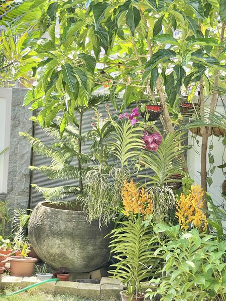 For Sale - Highland Cottage