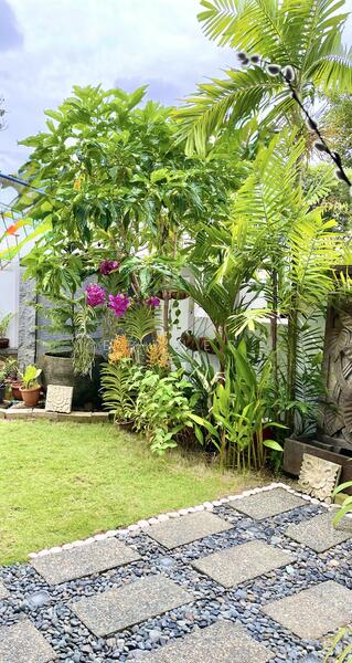 For Sale - Highland Cottage