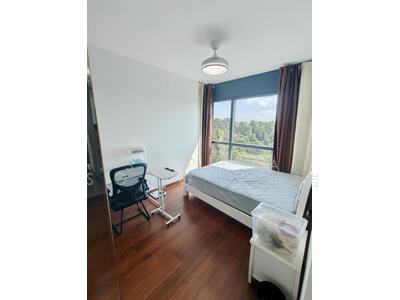 For Rent - Normanton Park