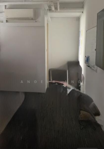 Northpoint Bizhub, 2 Yishun Industrial Street 1, 2,600 sqft, Light Industrial (B1) For Rent, by Angela Ang, 500041116 - Study - CommercialGuru.com.sg