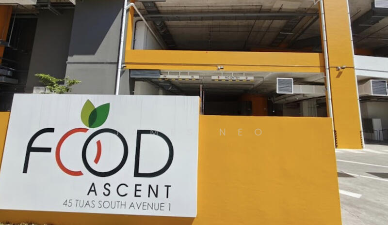 FOOD ASCENT