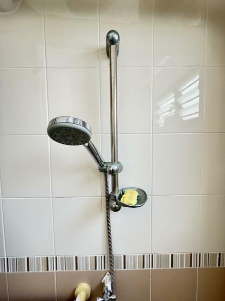 318 Bukit Batok Street 32, 318 Bukit Batok Street 32, Room Rental, 200 sqft, HDB Flat For Rent, by Jay Lee, 500041629 - Bathroom - PropertyGuru.com.sg