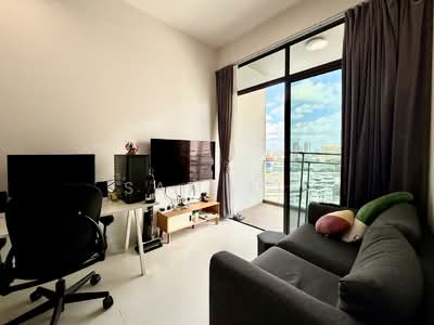 For Sale - Neem Tree