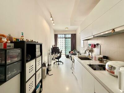 For Sale - Neem Tree