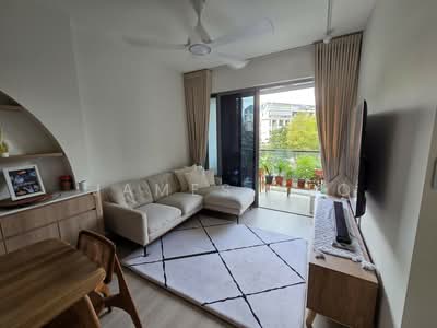 For Sale - Skies Miltonia